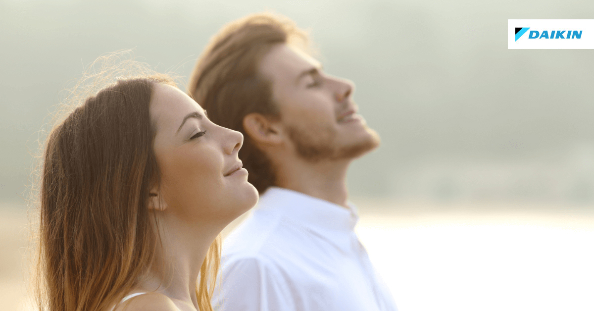 Trucs et astuces pour un échangeur d’air profitable